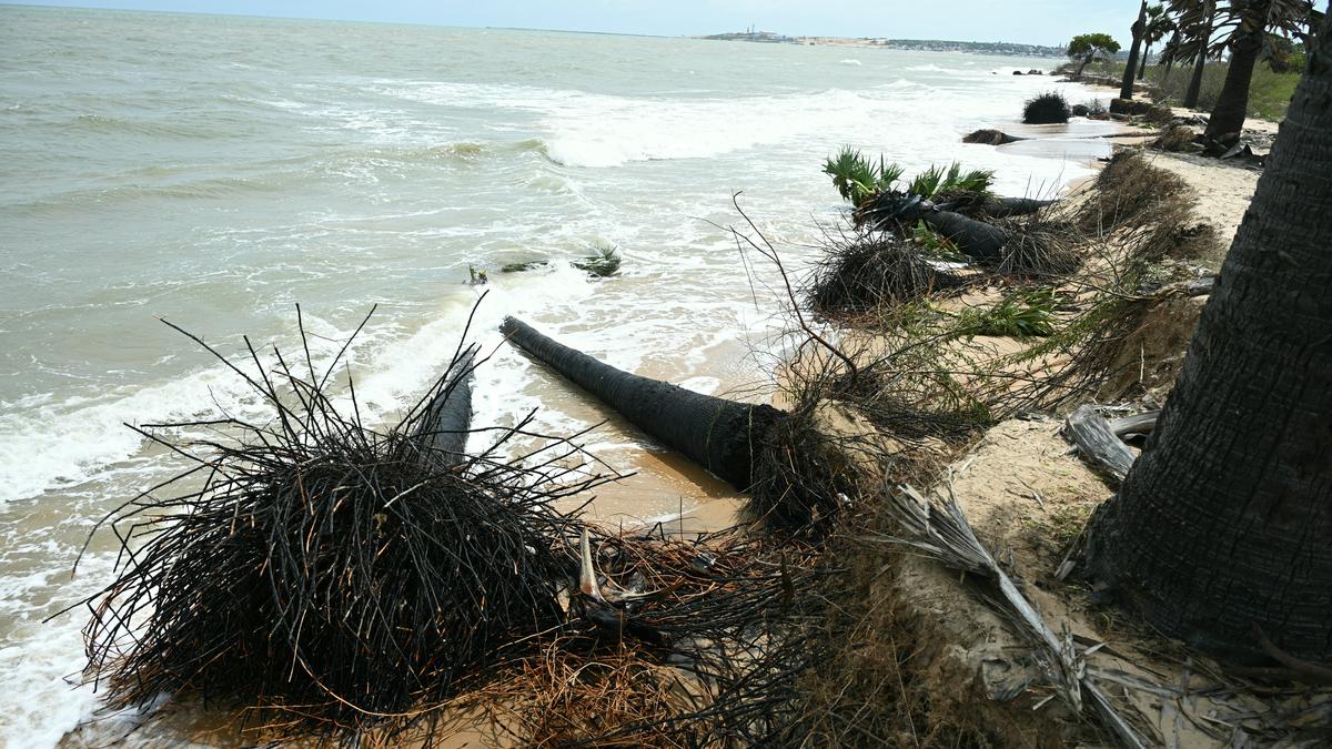 Sea erosion in Kulasekarapattinam and accretion in Manappad in Thoothukudi district cause for concern