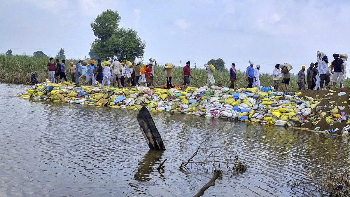AAP-BJP spar over financial aid for Punjab flood victims