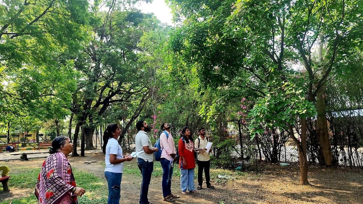 Kalaburagi hosts first March Tree Festival to celebrate spring