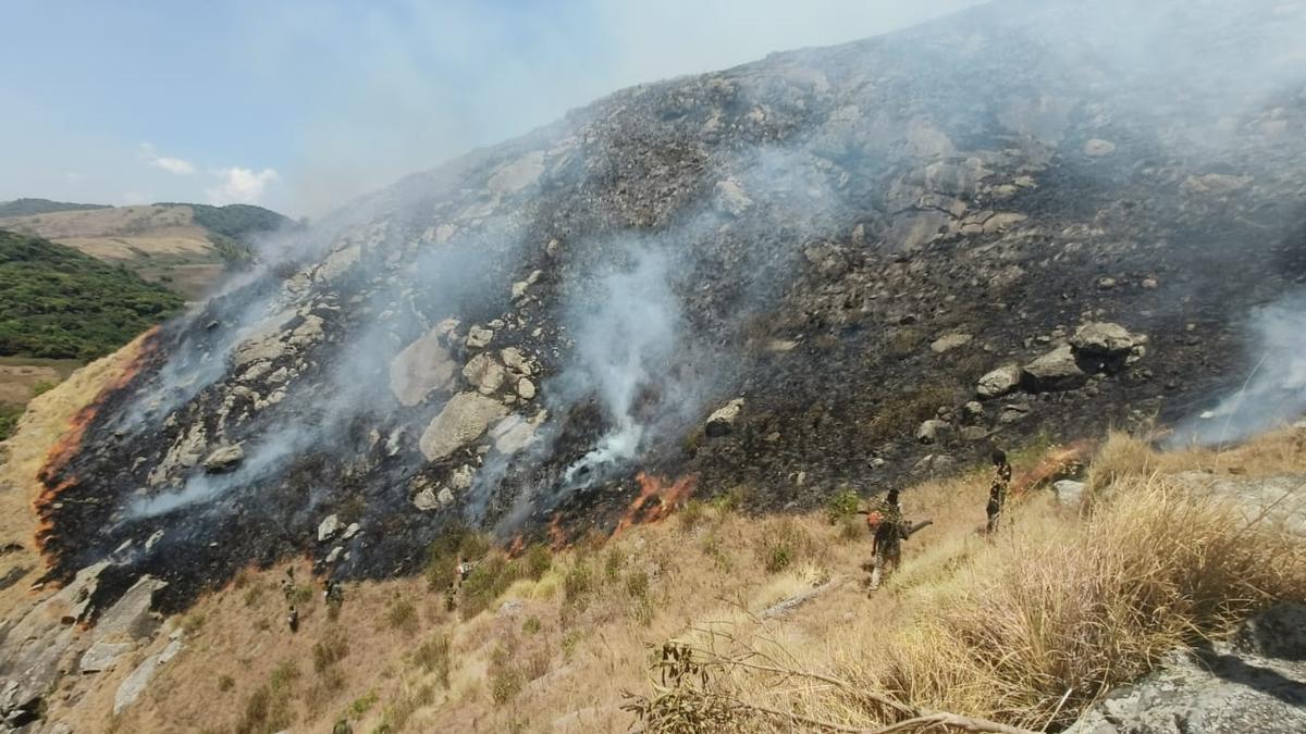 60 acres of forest affected by fire at BRT Tiger Reserve