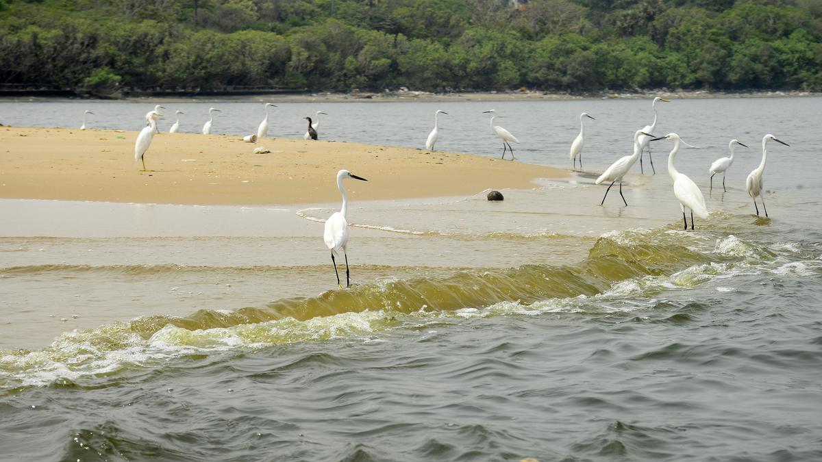 Une étude de l’IIT Madras révèle la présence de « produits chimiques éternels » dans les lacs de Chennai et dans l’eau potable