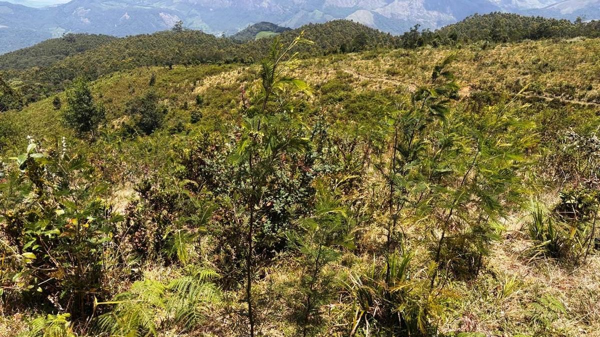 Kerala Assembly: LDF tables Bill allowing individuals to claim ownership of excess private land in lawful possession identified in digital survey