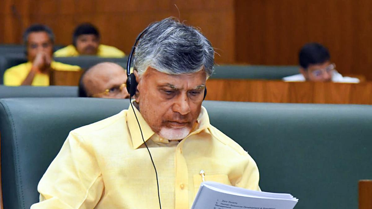 CM Naidu asks TDP leaders to create awareness on State Budget