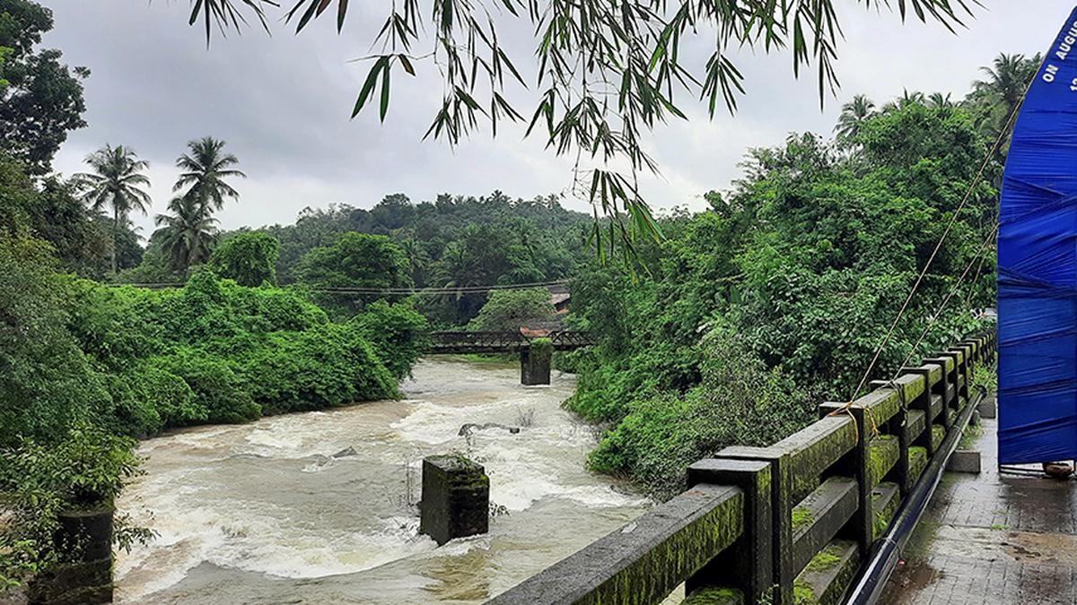 Pre-events of Malabar River Festival to be held in 9 local bodies