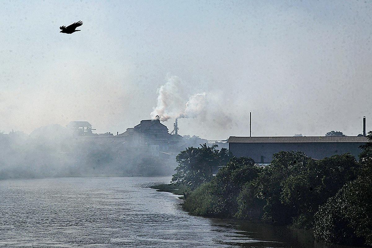 Ensure ambient air quality NGT tells Kerala government The Hindu