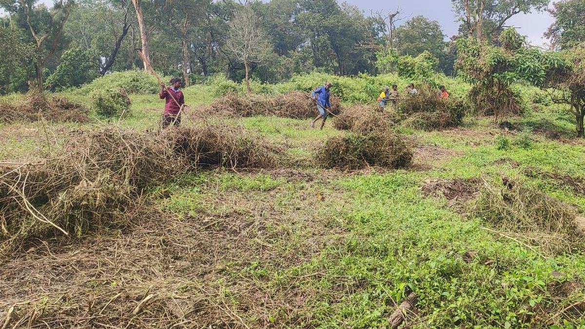 Strengthening soil organic carbon levels is crucial to achieving T.N.’s carbon sequestration goals: expert