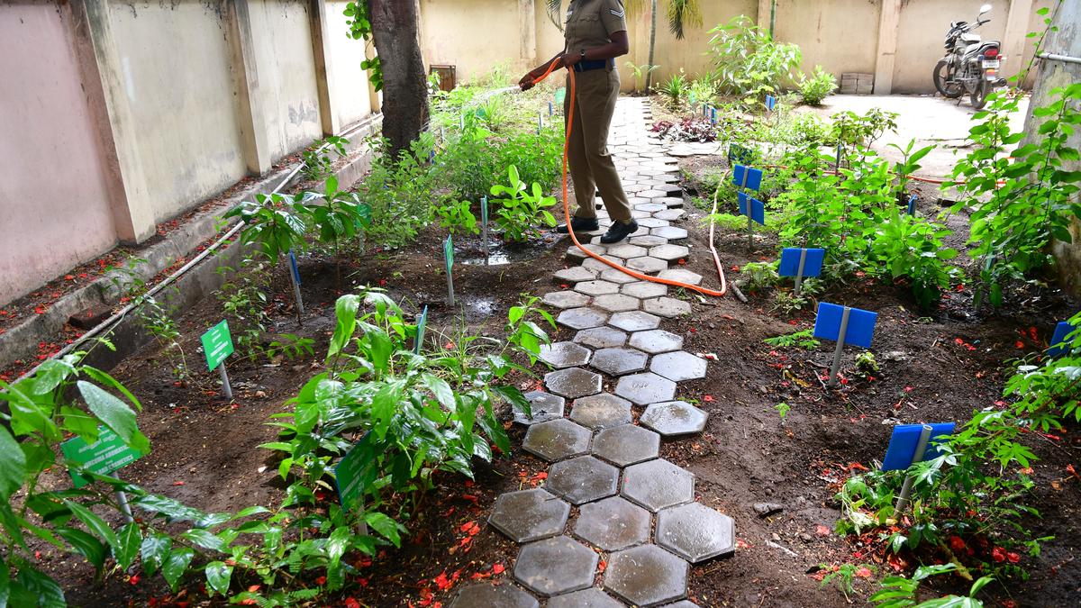 Herbal garden visitors at Singanallur police station The Hindu