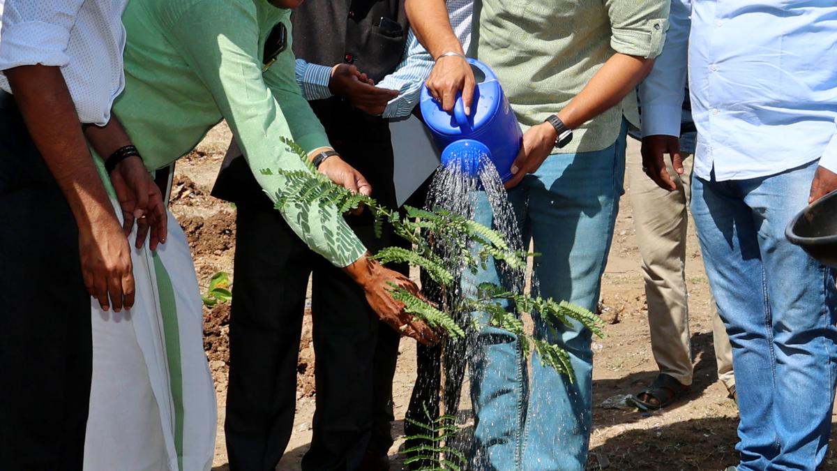 Saplings planted at Vellalore dump yard