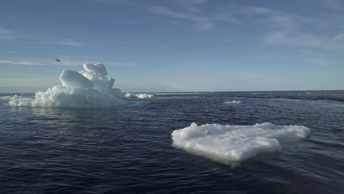 Explained | Arctic Ocean could be ice-free in summer by 2030s, say scientists
Premium