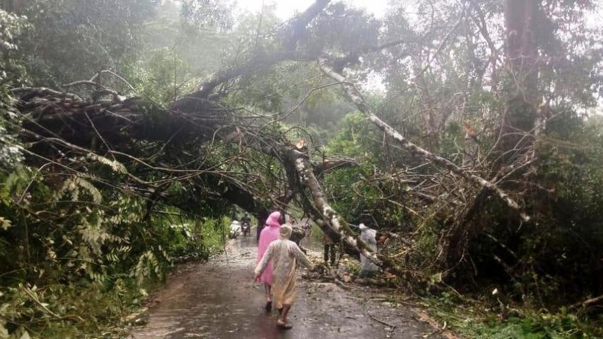 Schools to remain closed in six taluks of Chikkamagaluru on July 16