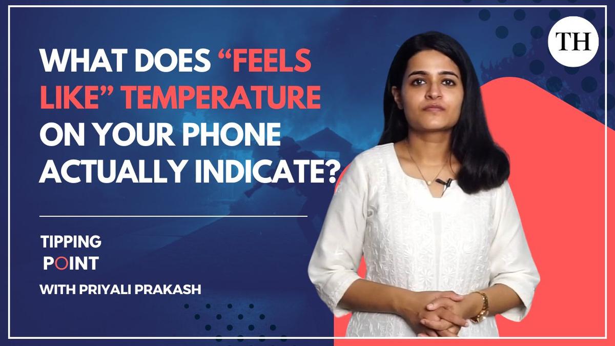Watch: What does “feels like” temperature on your phone actually indicate? - The Hindu