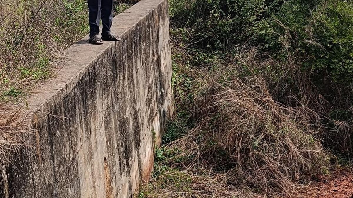 Government should hold talks with Odisha for early completion of Jhanjavati irrigation project: Krishnamurthy Naidu