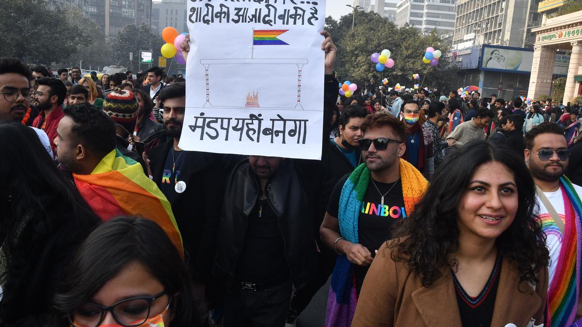 Queer Pride felt like a warm hug on a cold winter day, say participants&nbsp;