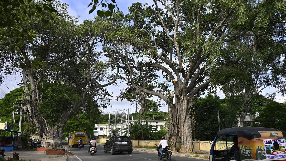 Secunderabad residents oppose Cantonment road closures, demand action