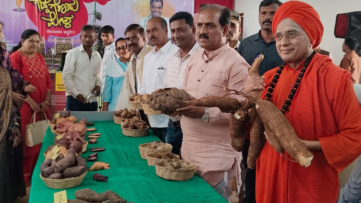 Two-day Tuber and Root Vegetable Fair begins in Hubballi