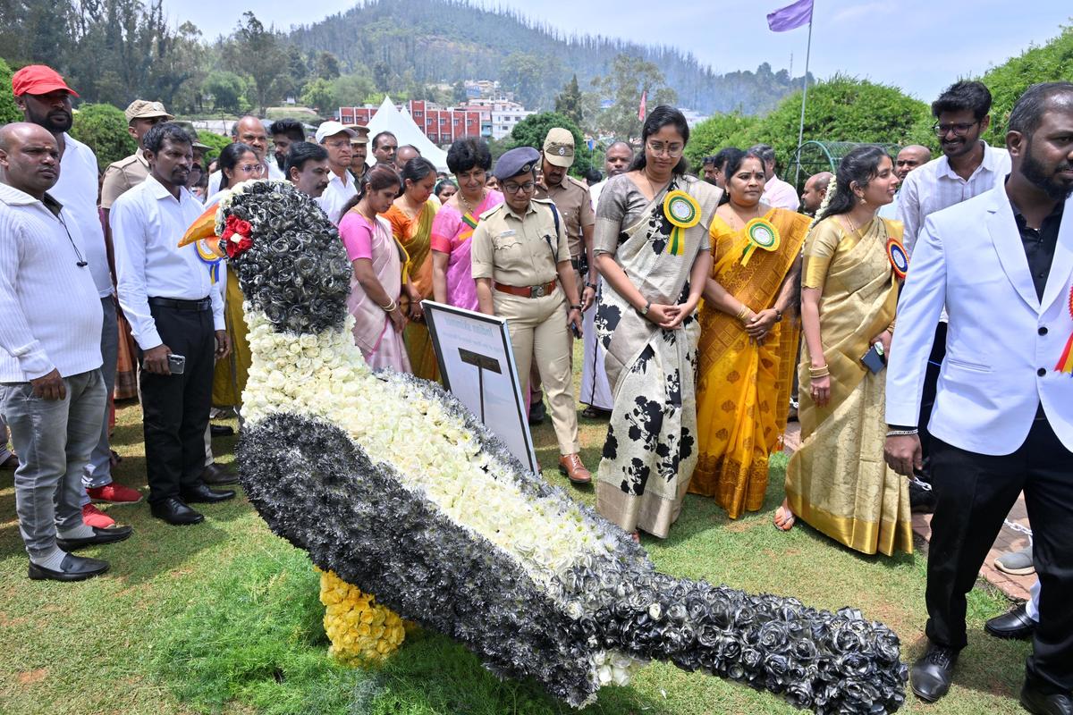 Nilgiris district Collector Lakshmi Bhavya Tanneeru visited the floral decorations after the inauguration of the Rose Show at Udhagamandalam on Thursday.