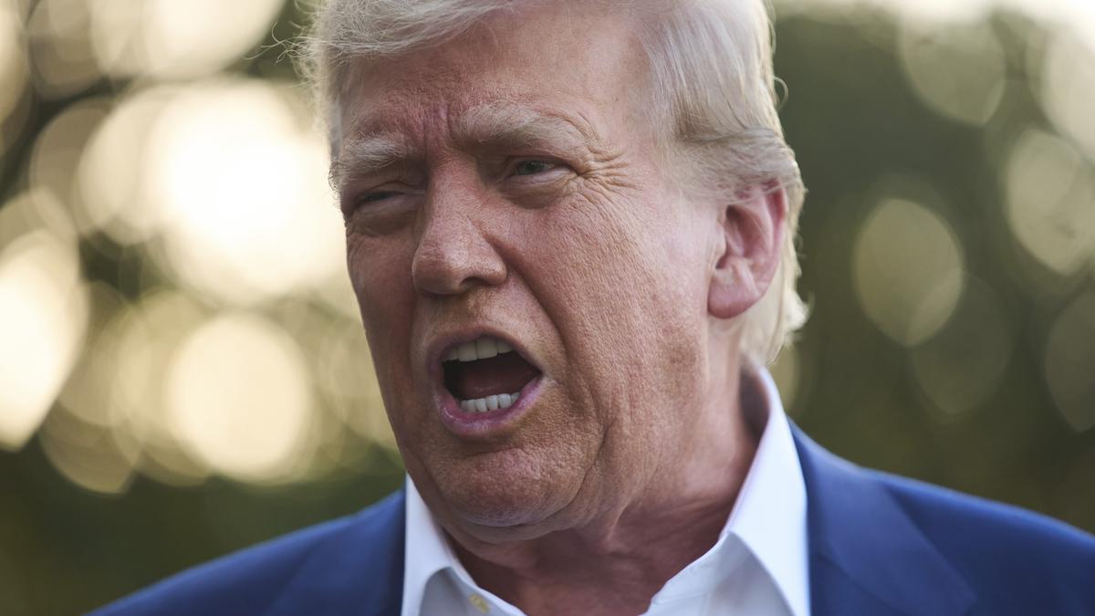 Trump says whether he’ll commit to NATO mutual defence guarantee ’Depends on your definition’