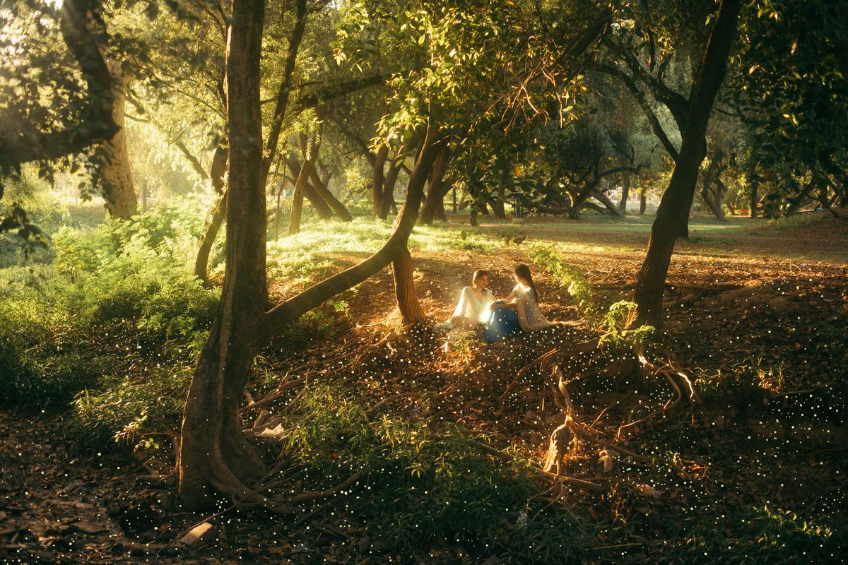 Farheen Fatima’s series titled Meet Me in the Garden