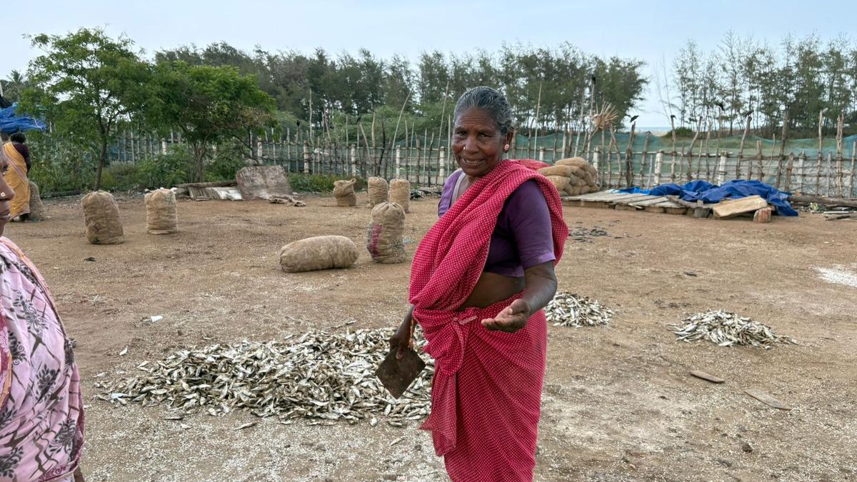 Kottucherry Medu fisherwomen seek dedicated space for drying fish