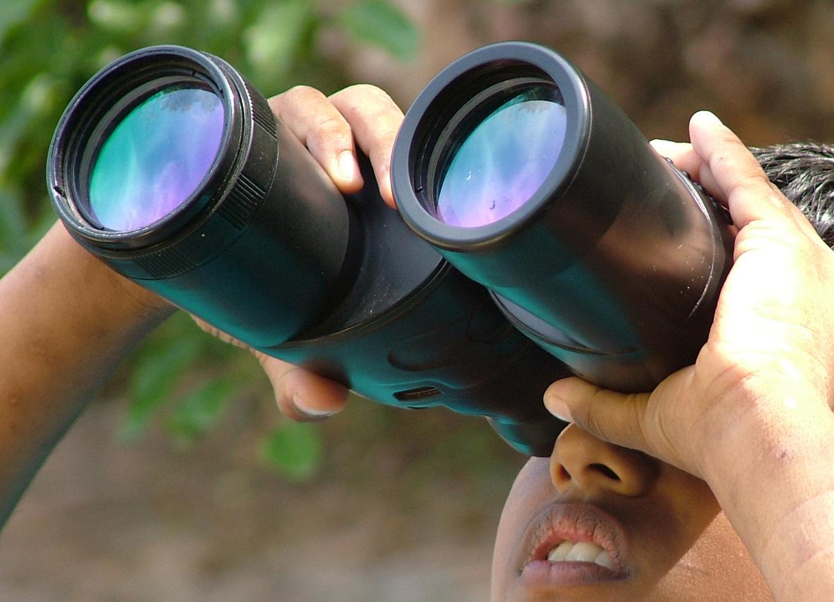 At the bird race, participants, in groups of four, set out to count bird species in and around Chennai