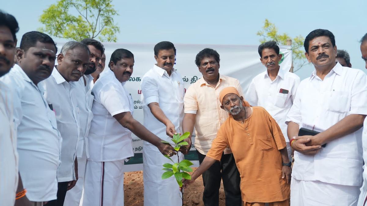 Isha to facilitate planting of 3,00,000 saplings on agricultural lands in Tiruppur district