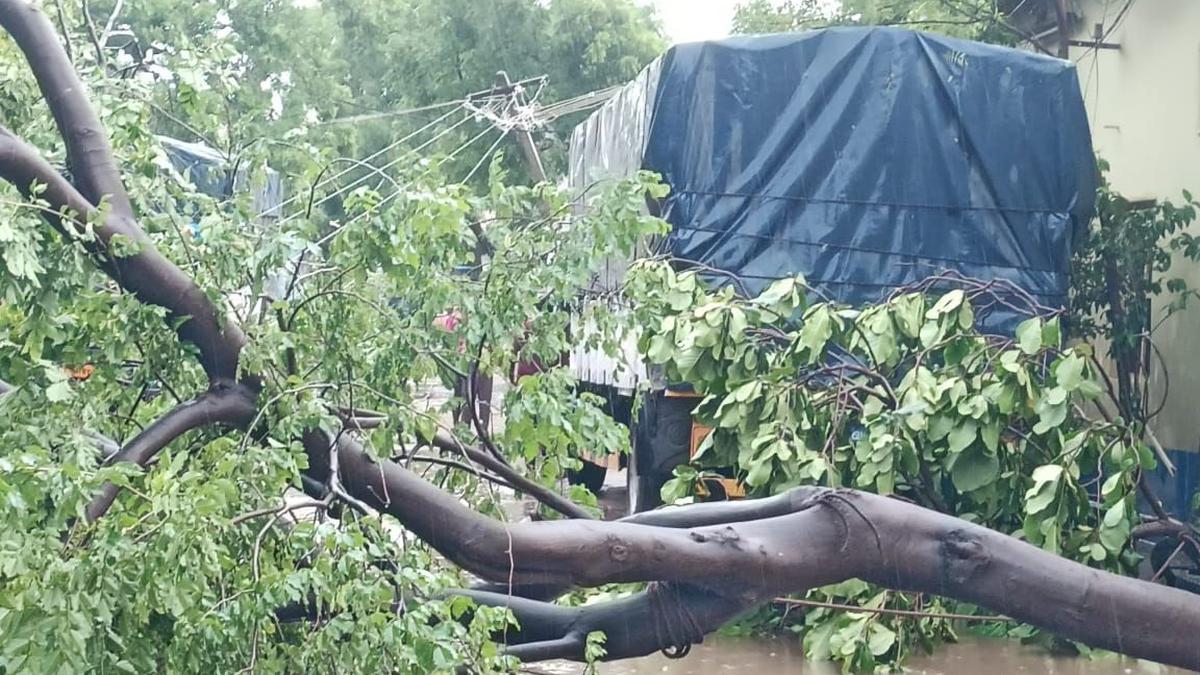 Strong winds accompanying sudden shower bring down over 100 trees, dozens of power lines, in Aruppukottai