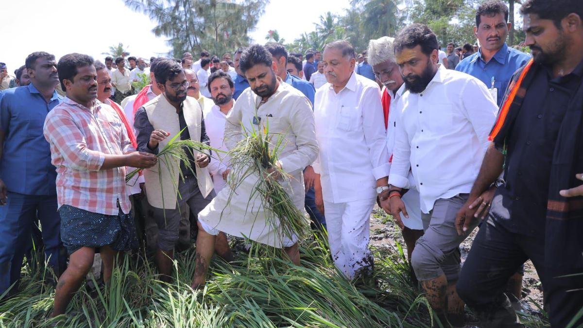 Every farmer affected by Cyclone Montha will get compensation, says Andhra Pradesh Deputy Chief Minister Pawan Kalyan