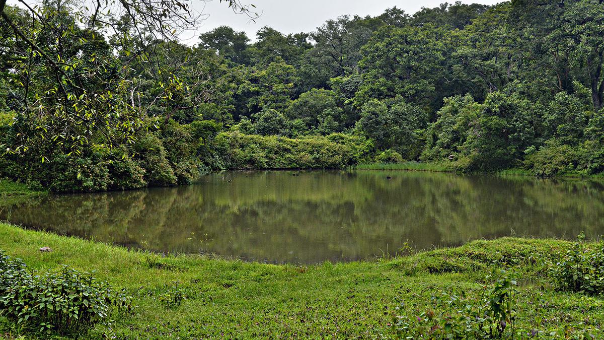 Team of scientists conduct study to help India meet the 30x30 biodiversity conservation targets