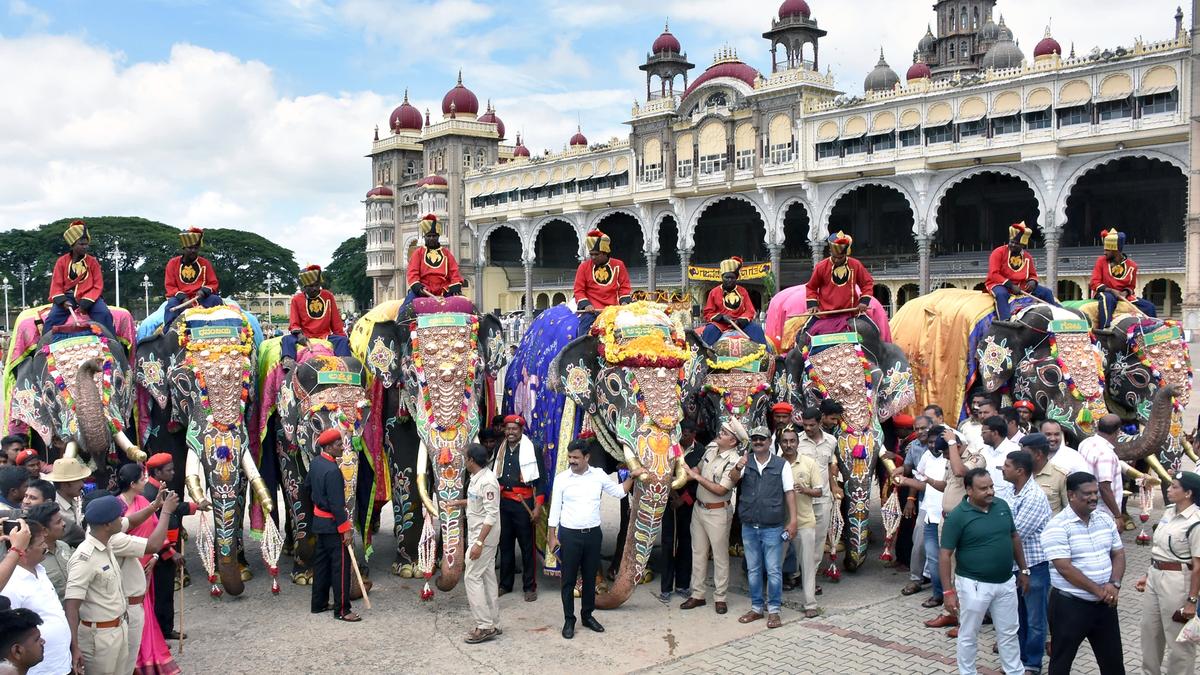 Dasara elephants have tasks cut out for them