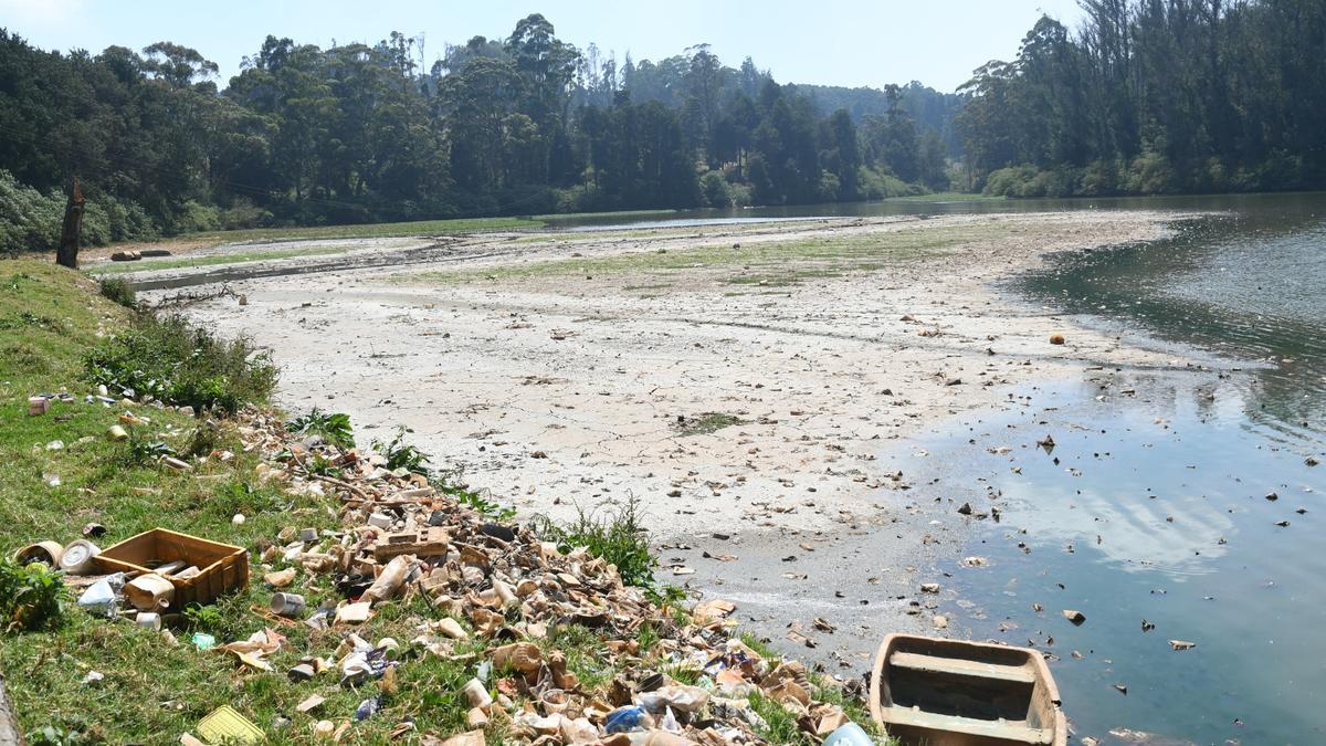 Call to clean up garbage in Ooty lake, while desilting work is in progress