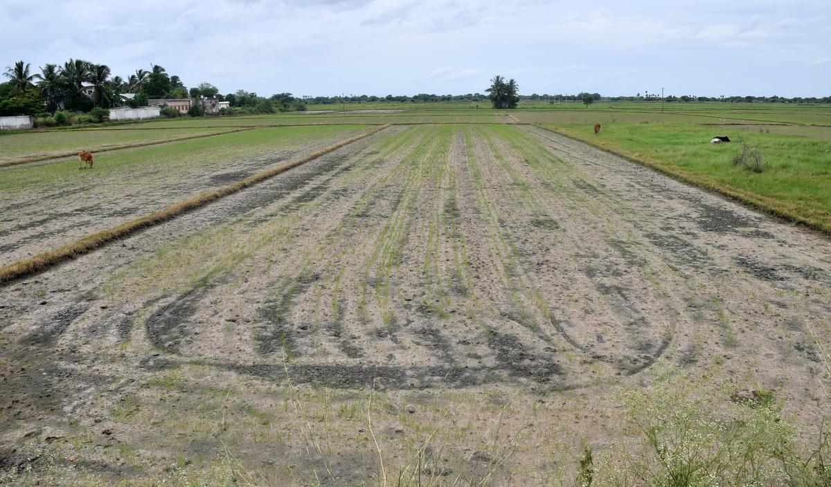 Socioeconomic survey and job camps held in and around Parandur