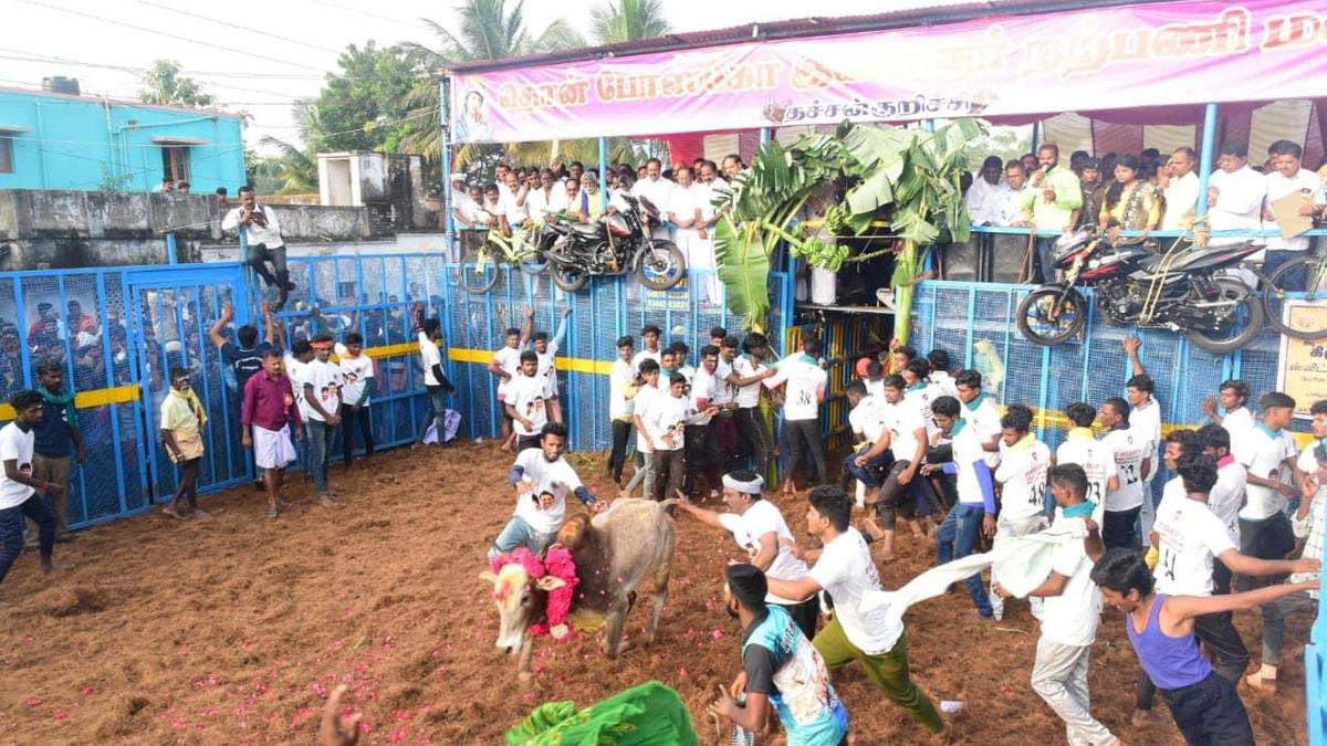 Year’s first jallikattu in Tamil Nadu gets underway