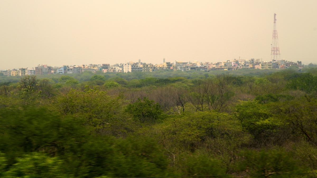 ‘Road to hell is paved with good intentions’: Congress slams govt over new Aravalli definition