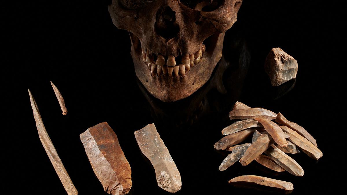 Genetics study lays bare Ice Age drama for humans in Europe