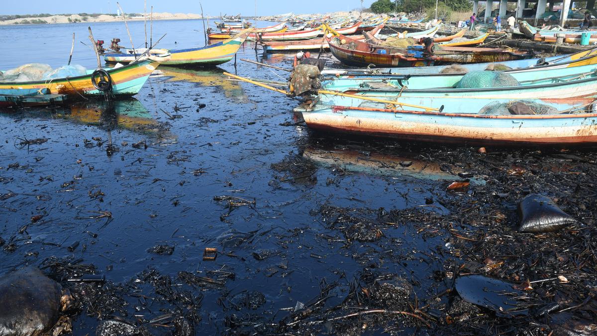 NGT ‘unhappy’ with oil spill remediation in Ennore, directs Tamil Nadu government and CPCL to expedite work