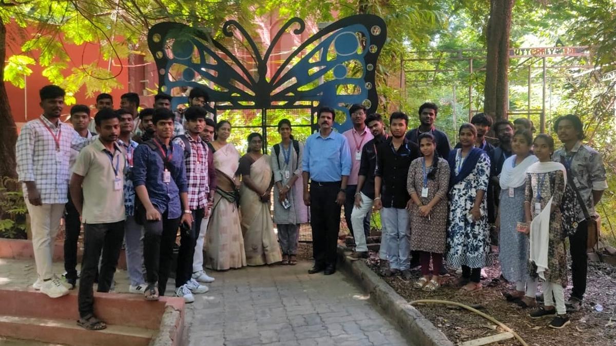 Butterfly survey conducted