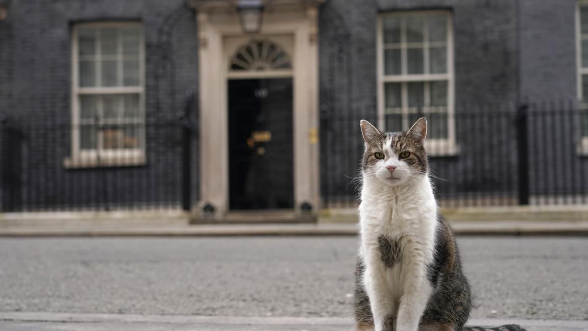 Larry the Downing Street cat in line for his sixth prime minister