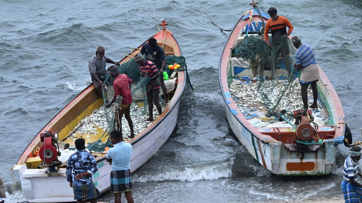 Changes in monsoon strength affects marine productivity in Bay of Bengal