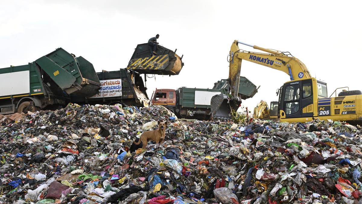 Failure of waste-to-energy plant exposes lack of segregation in Bengaluru 