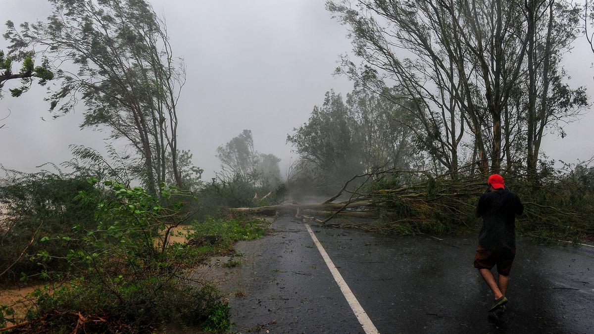 In the aftermath of cyclone Biparjoy, Gujarat grapples with destruction 