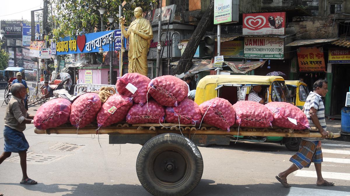 Centre allows 99.5k tons of onion exports to 6 neighbouring nations