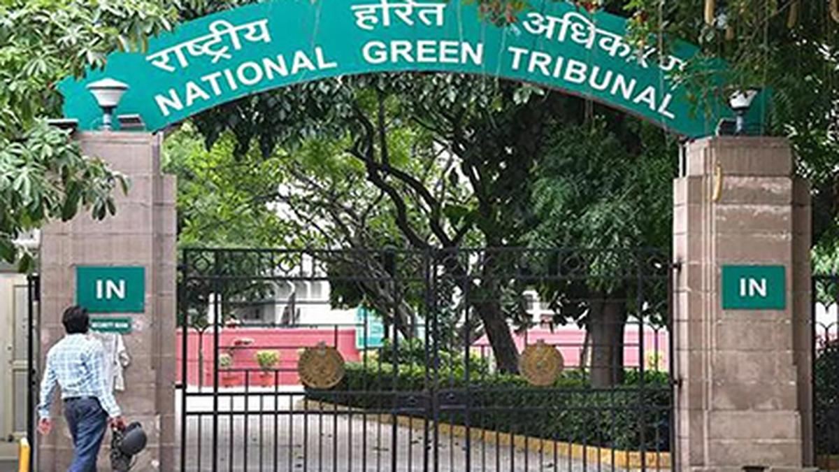 NGT seeks action against former Assam principal conservator for forest diversion