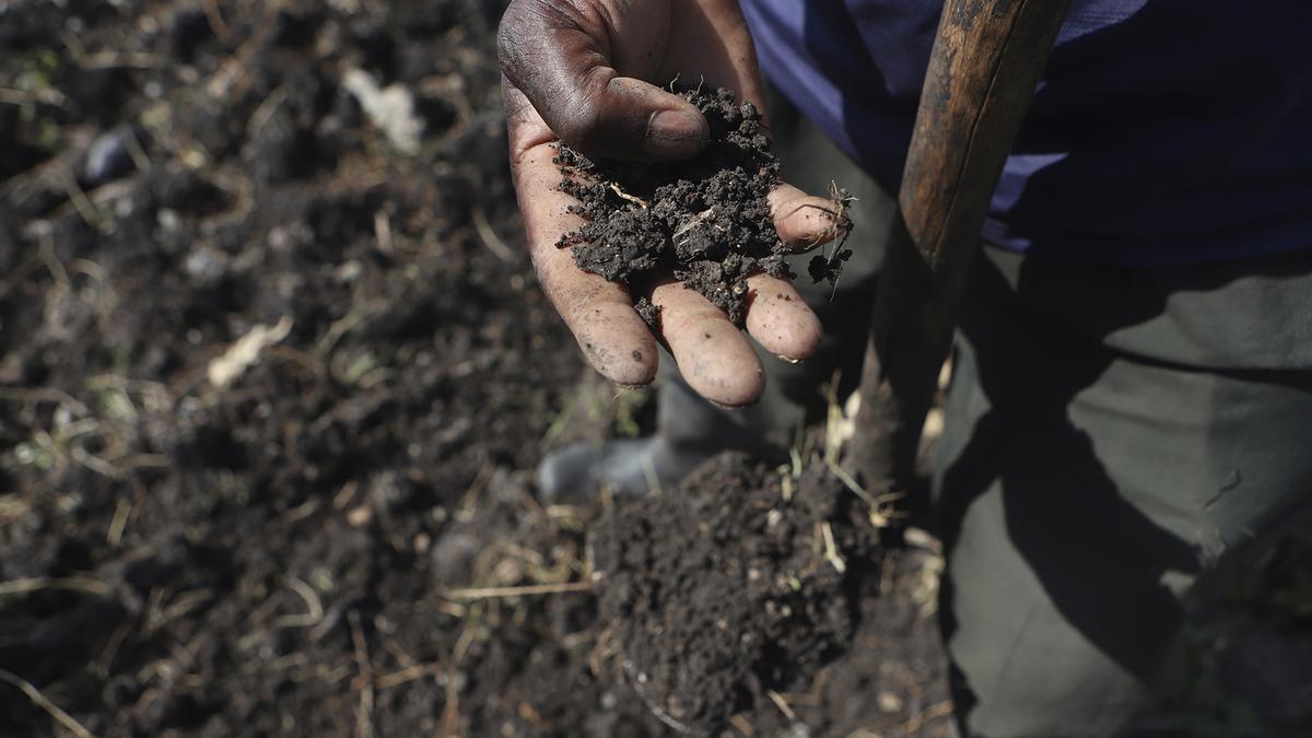 Farmers in Africa say their soil is dying and chemical fertilizers are in part to blame