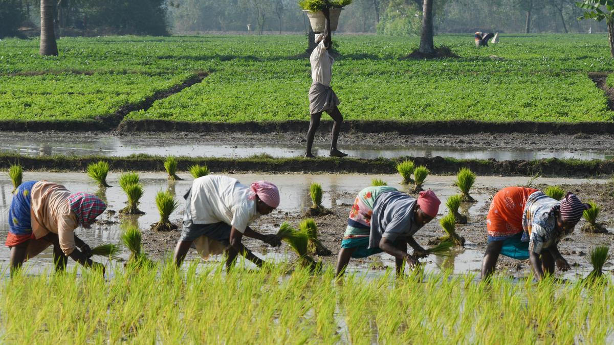 NABARD projects priority sector credit potential of ₹4 .47 lakh crore for Karnataka during 2025-26