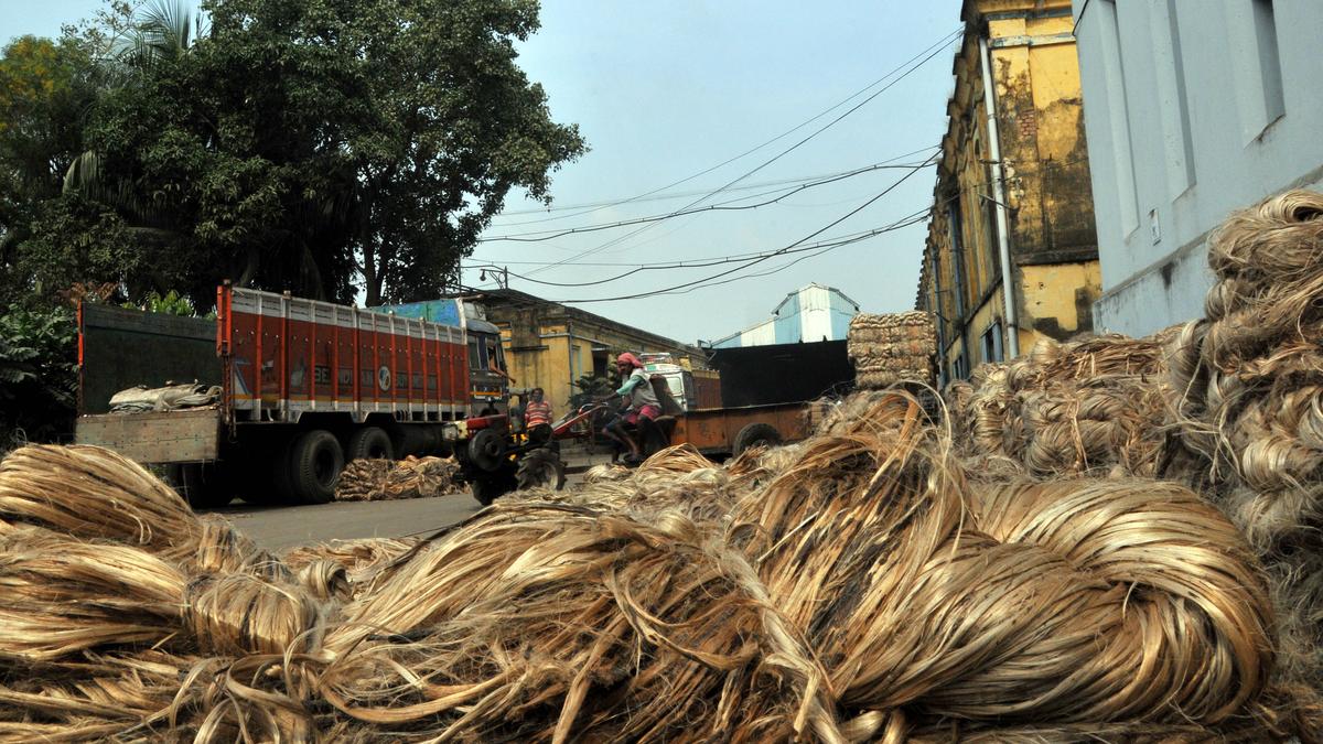 Bangladesh subsidies crippling jute industry, says Indian Jute Mills