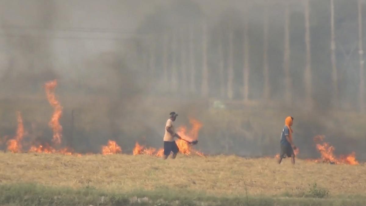 At least 16 farmers arrested in Haryana’s Kaithal for stubble burning; 22 FIRs registered