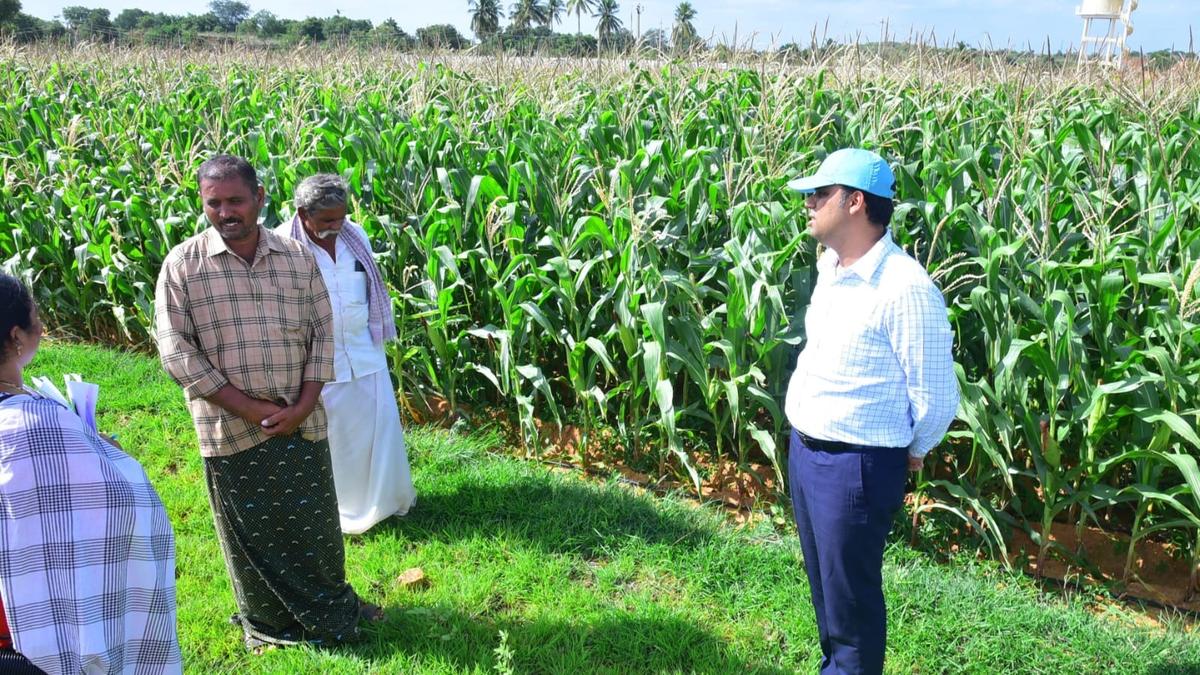 Push for nano urea to fight recurring droughts in Sathya Sai district