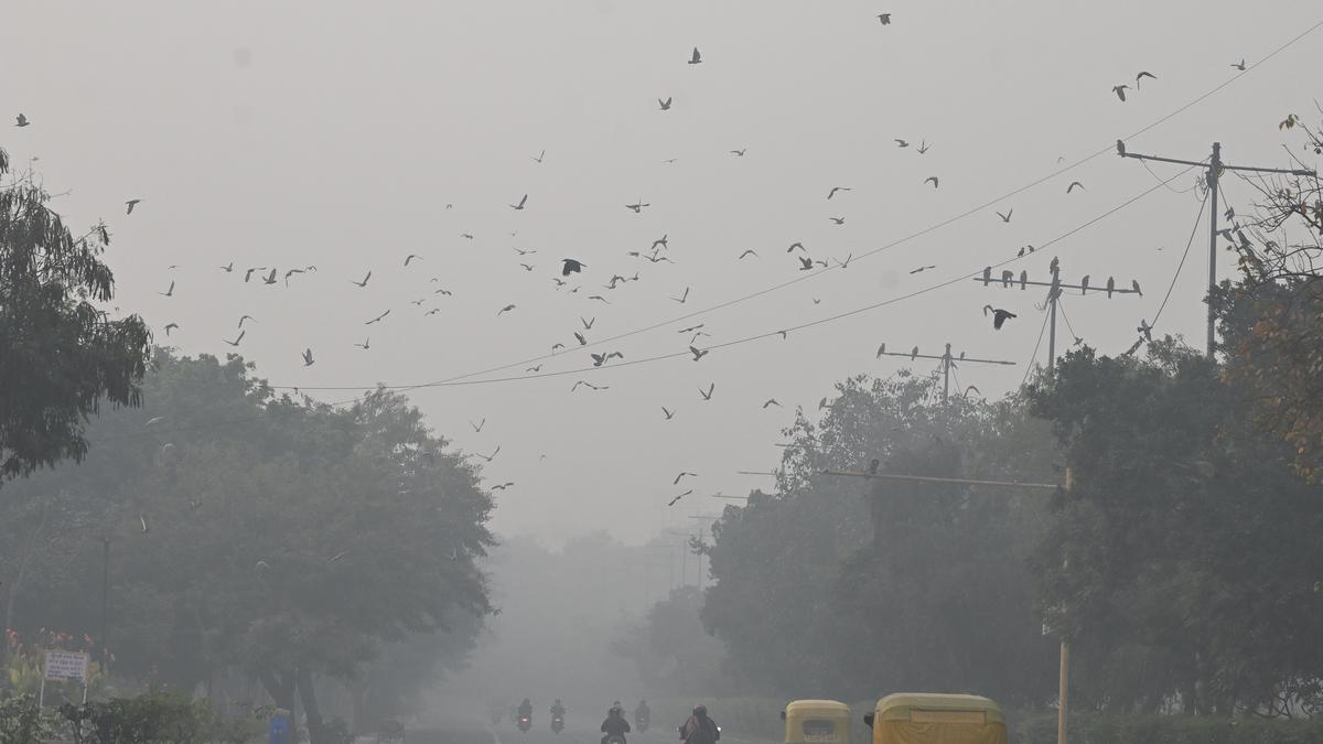 SC wants ‘consistent, downward trend’ in pollution before easing GRAP-IV restrictions in Delhi