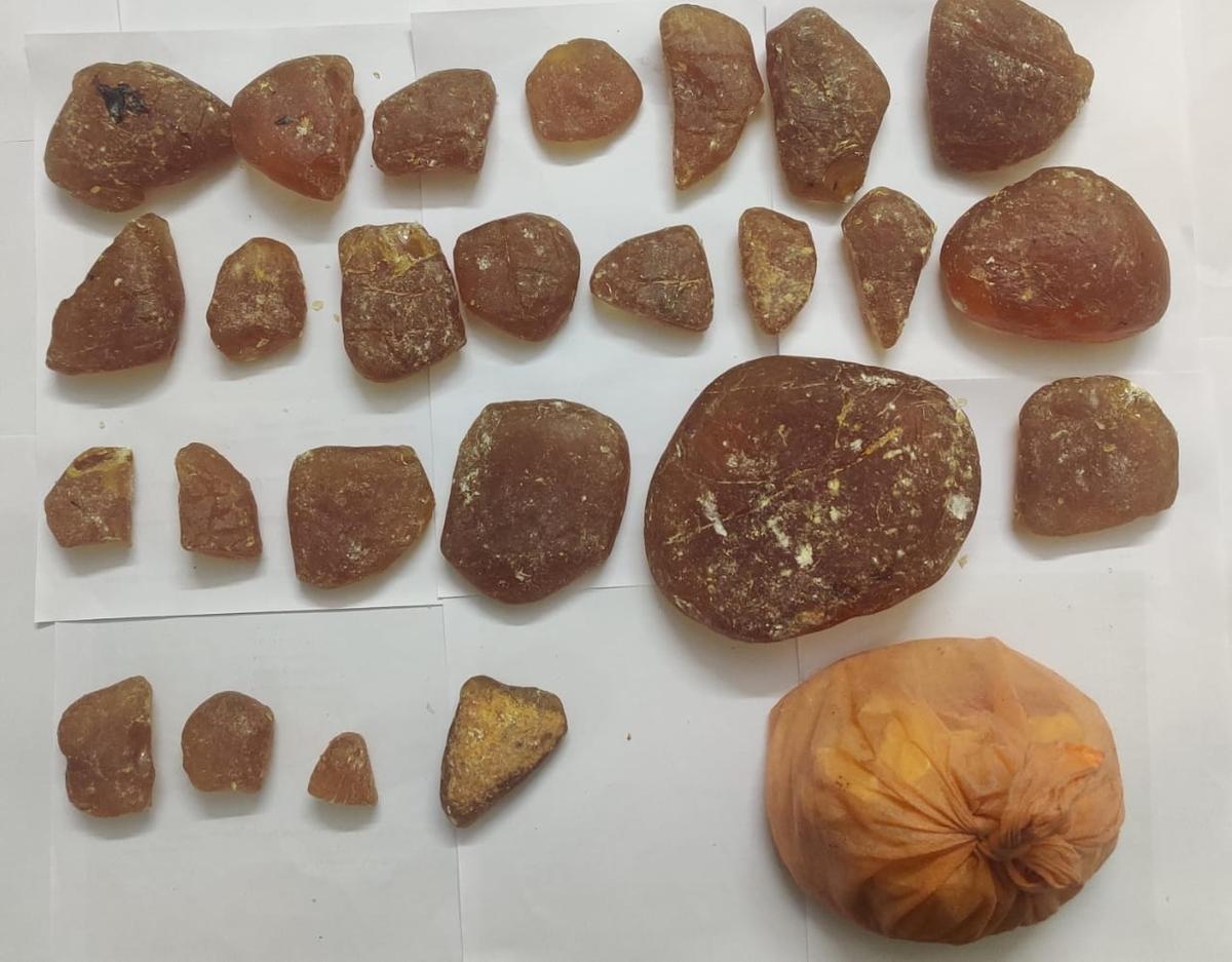 Η φάλαινα Ambergris κατέσχεσε από τα πρόσωπα του χωριού Agasthiyarpatti κοντά στο Ambasamudram στην περιοχή Tirunelveli από τον Δεκέμβριο του 2024.