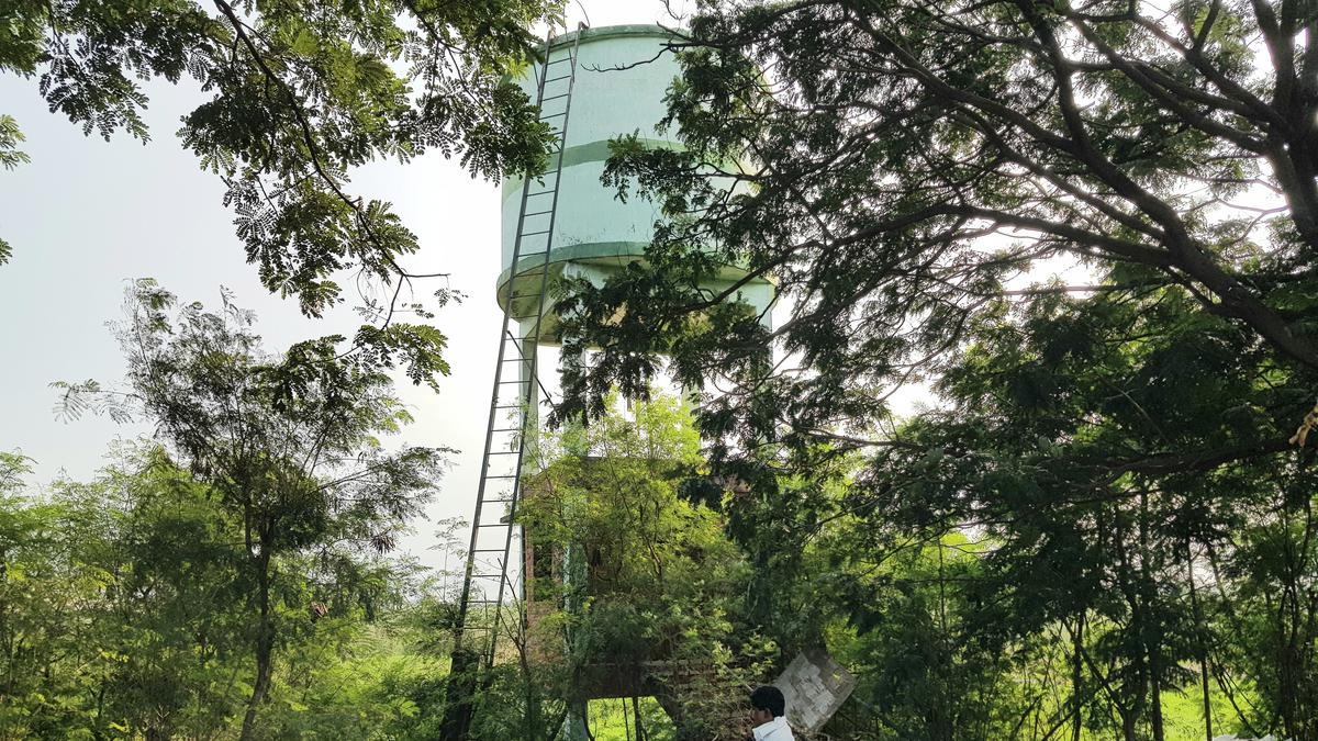 Watchtowers for birders at Chennai’s Pallikaranai remain unused